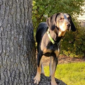 Meet your Posher, Eric